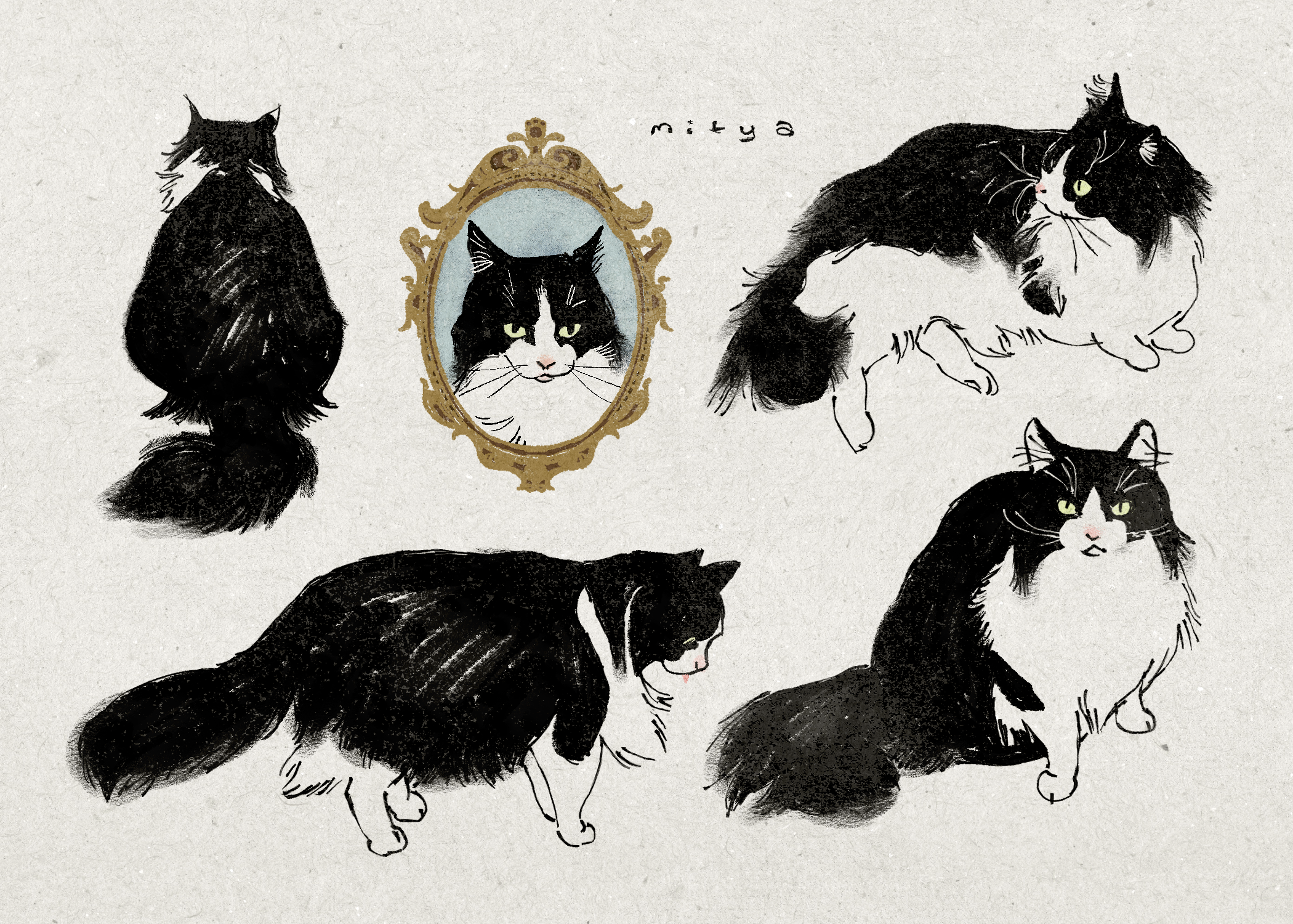 Custom Pet Stickers