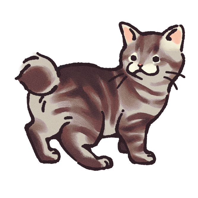 American Bobtail Cat Sticker