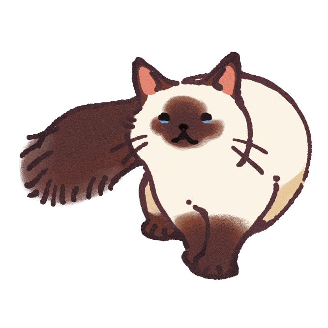 Birman Cat Sticker