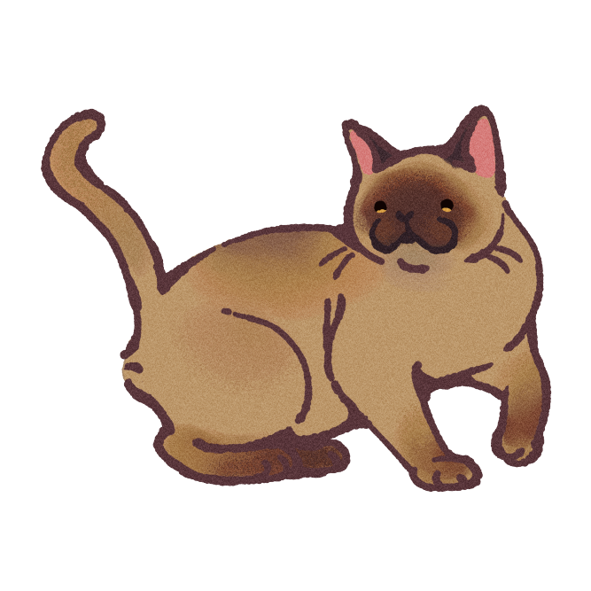 Burmese Cat Sticker