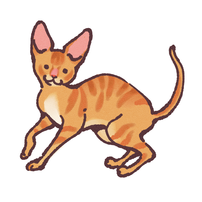 Cornish Rex Cat Sticker