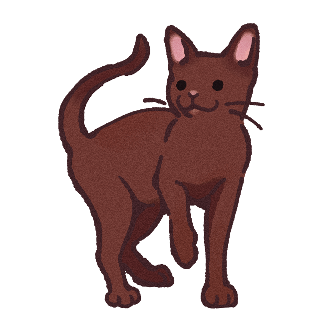 Havana Brown Cat Sticker