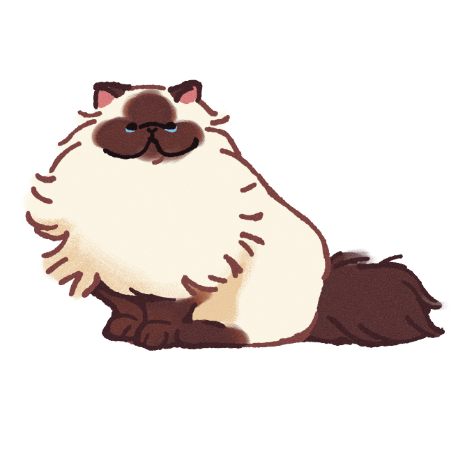 Himalayan Cat Sticker