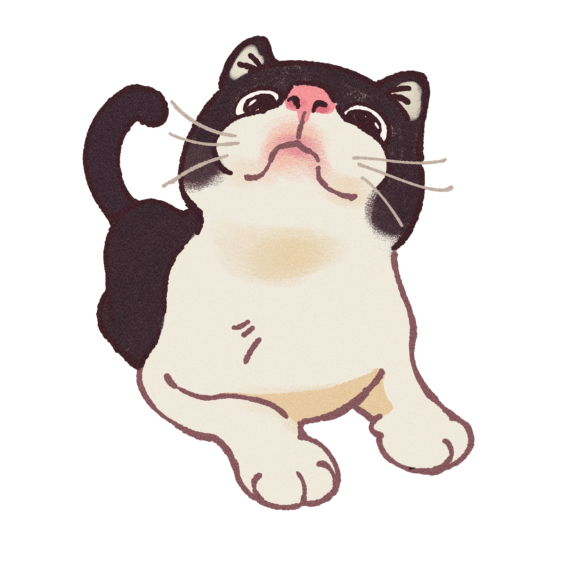 Cat With the Jowls Vinyl Sticker