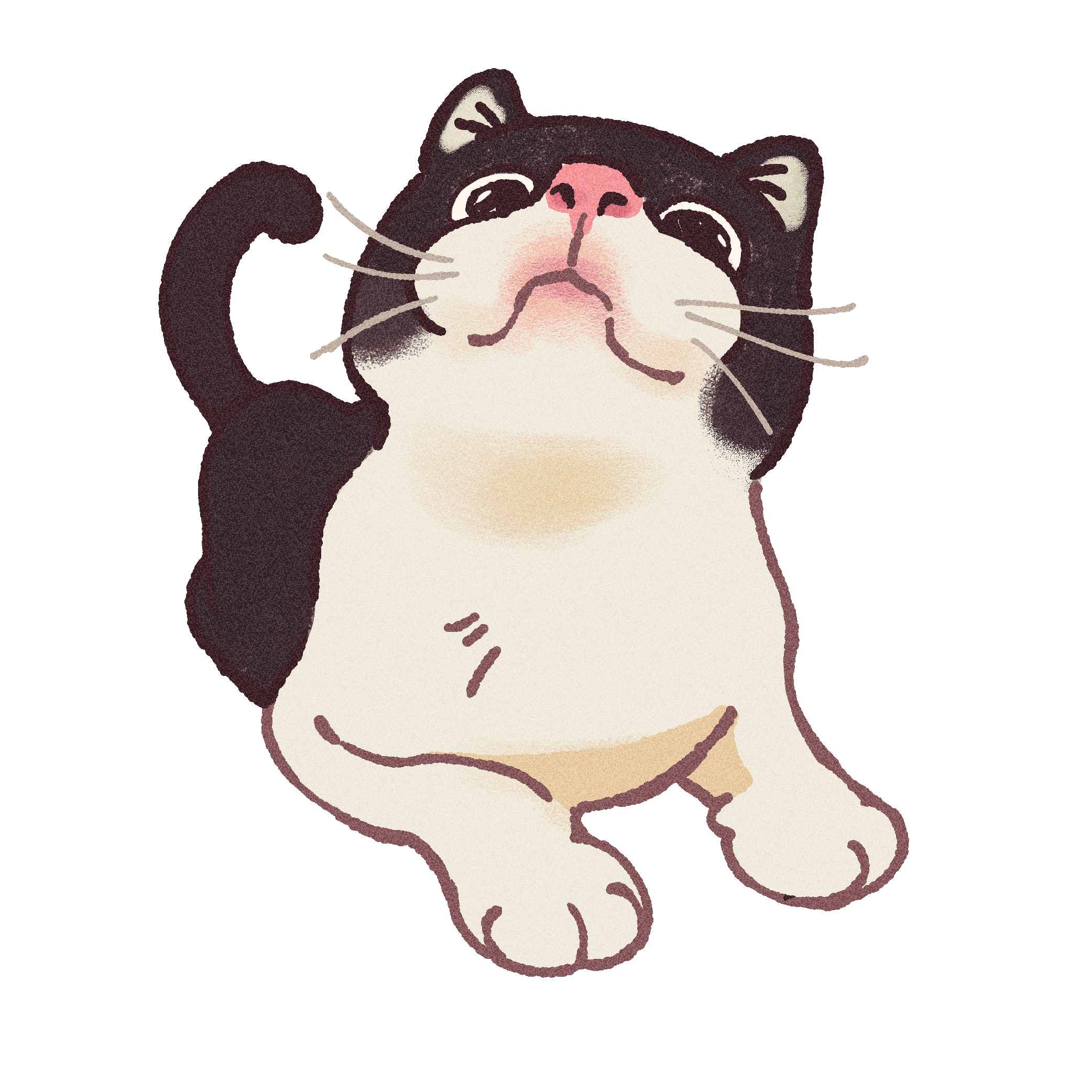 Cat With the Jowls Vinyl Sticker