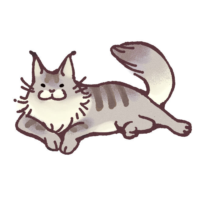 Maine Coon Cat Sticker