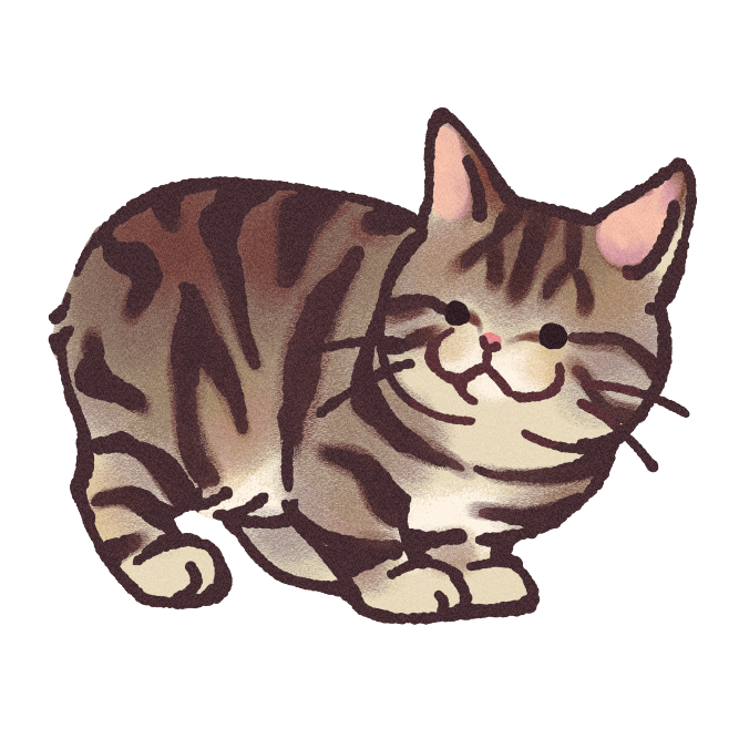 Manx Shorthair Cat Sticker