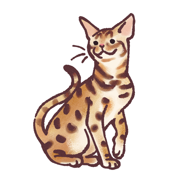 Ocicat Sticker