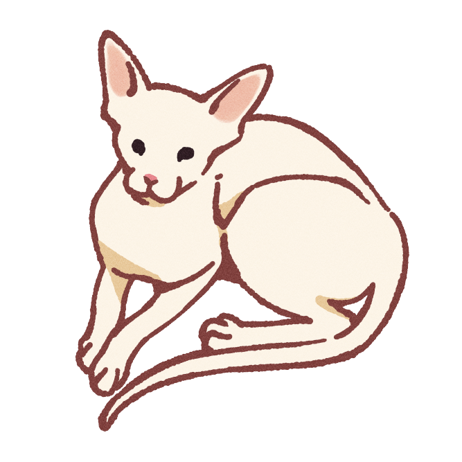 Oriental Shorthair Cat Sticker