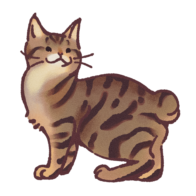 Pixiebob Cat Sticker