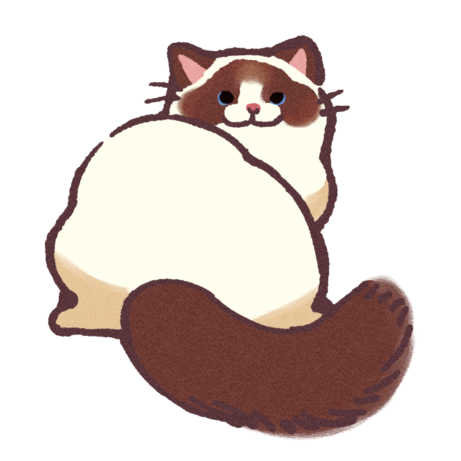 Ragdoll Cat Sticker