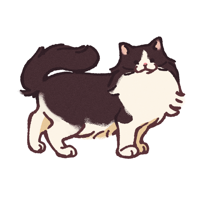 Ragamuffin Cat Sticker