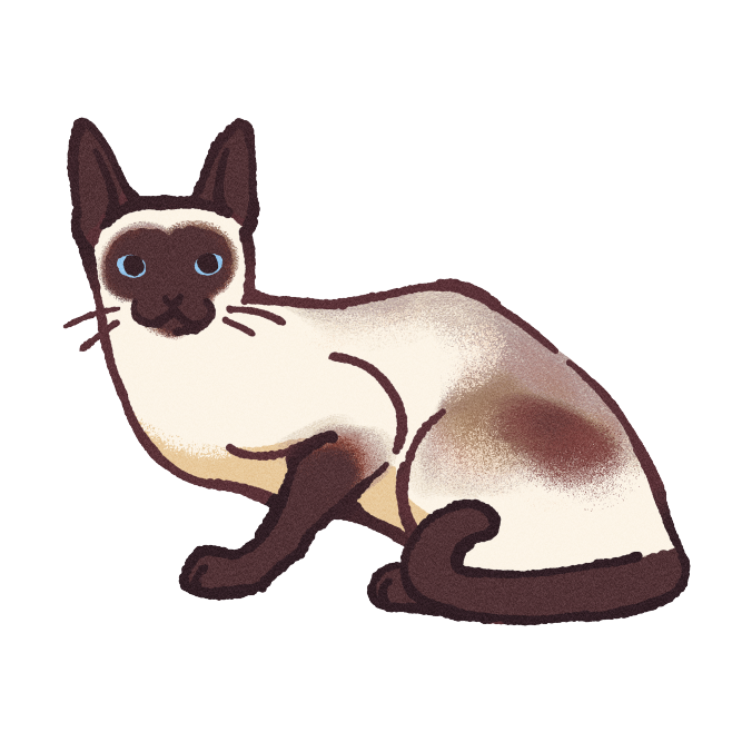 Siamese Cat Sticker