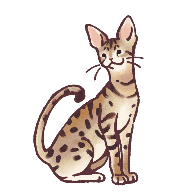 Savannah Cat Sticker