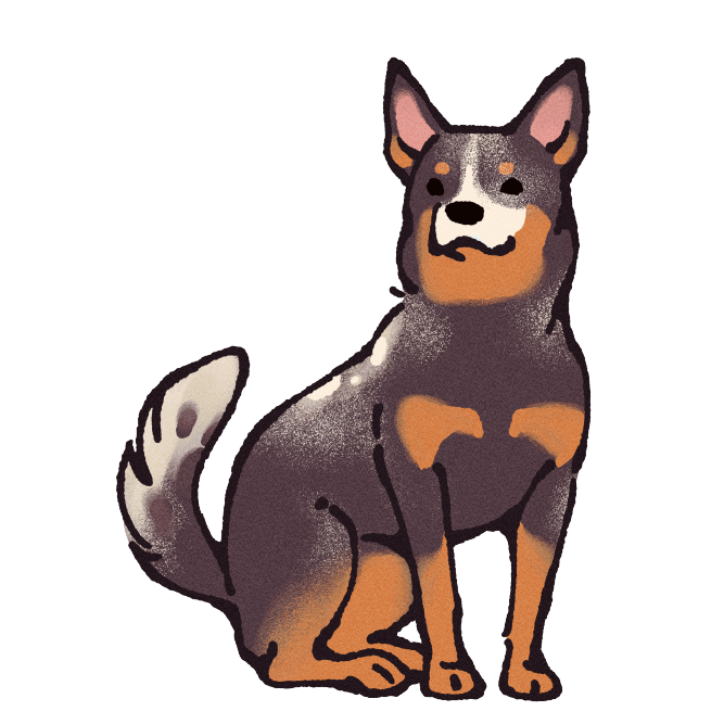 Australian Cattle Dog Sticker