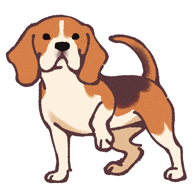 Beagle Sticker