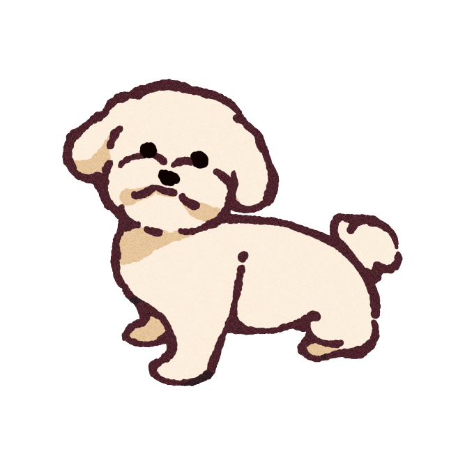 Bichon Frise Sticker