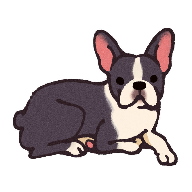 Boston Terrier Sticker