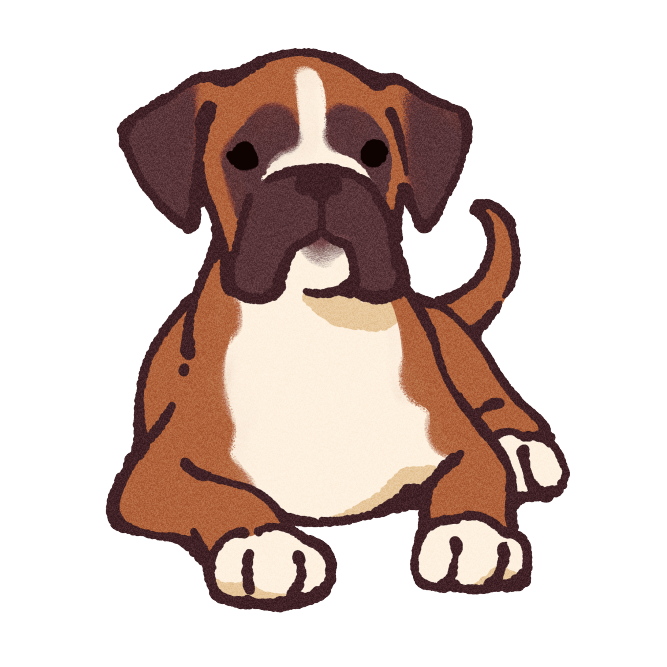 Boxer Dog Sticker