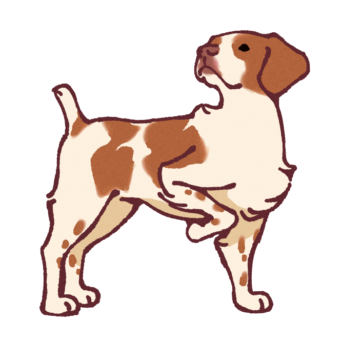 Brittany Sticker