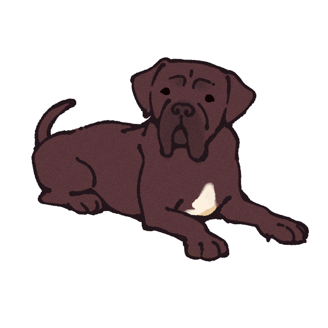 Cane Corso Sticker