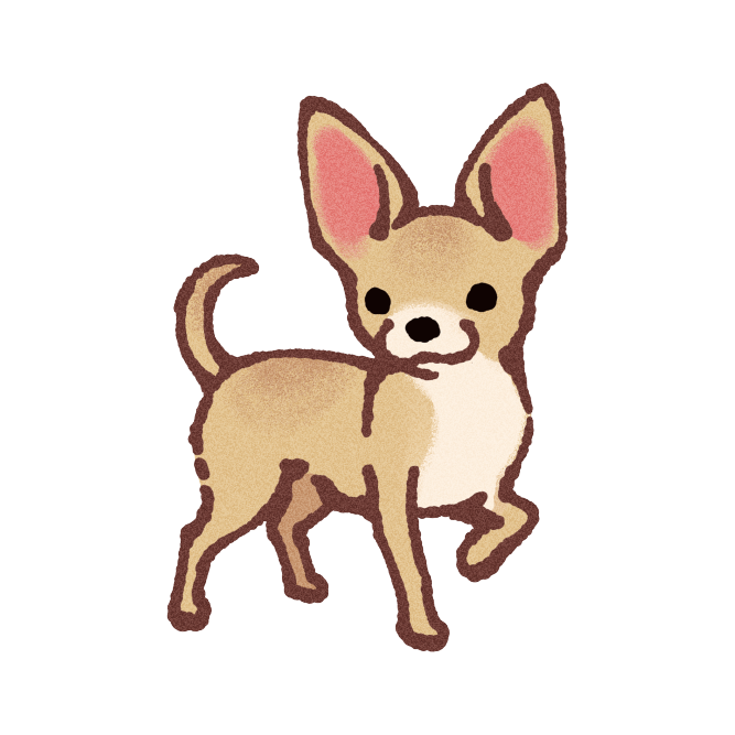 Chihuahua Sticker