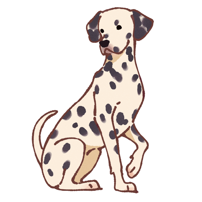 Dalmatian Sticker