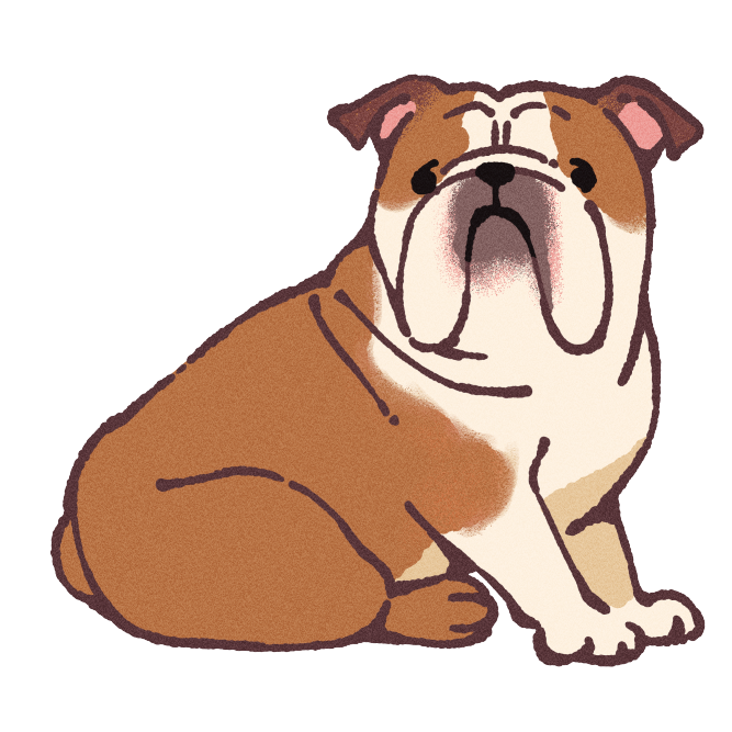 English Bulldog Sticker