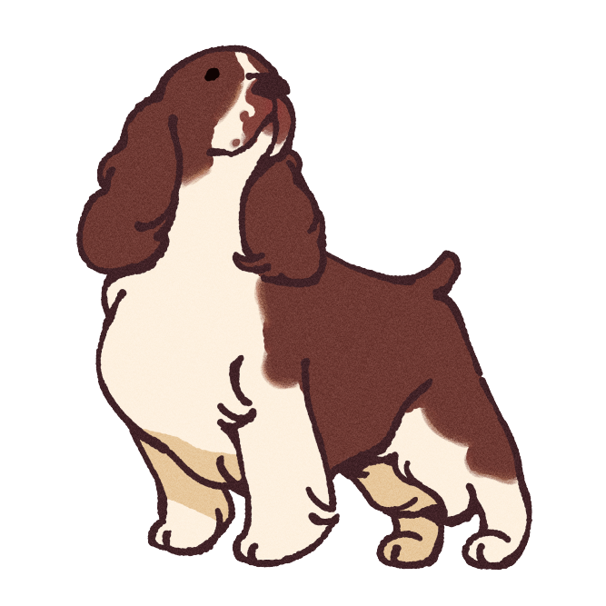 English Springer Spaniel Sticker