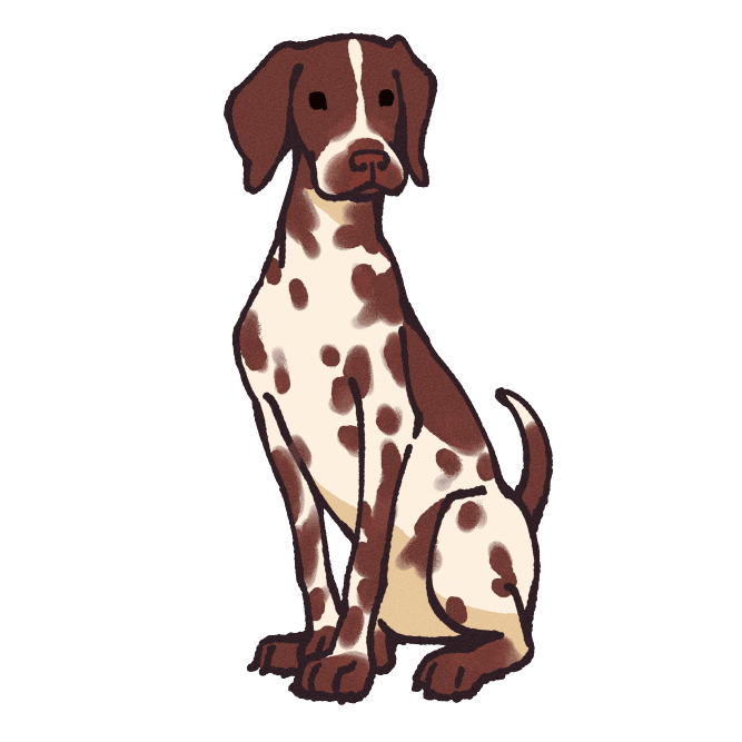 German Shorthaired Pointer Sticker