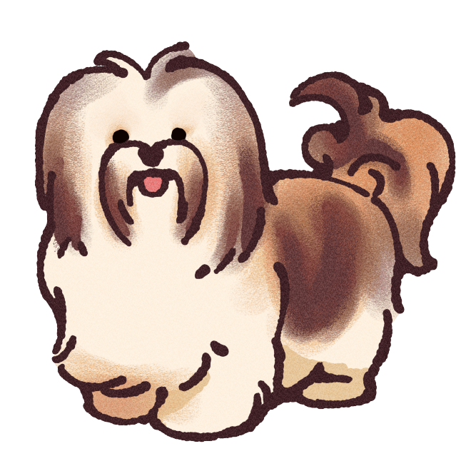 Havanese Dog Sticker