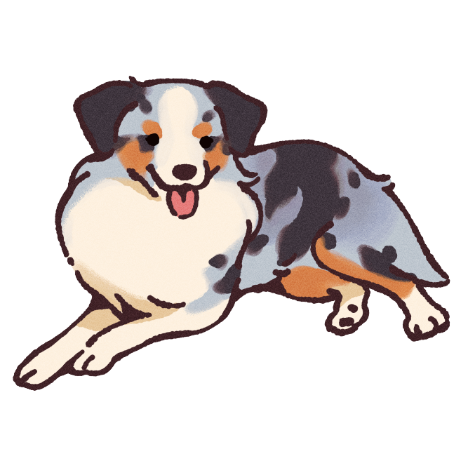 Mini Australian Shepherd Sticker