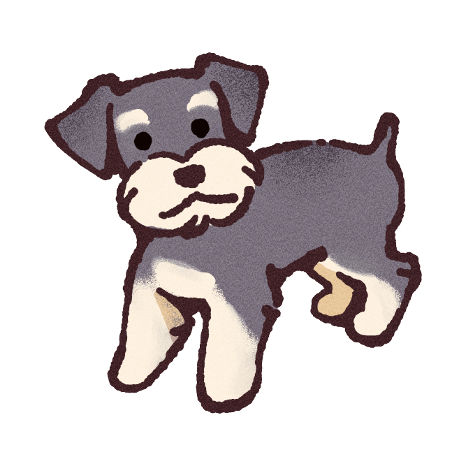 Mini Schnauzer Sticker