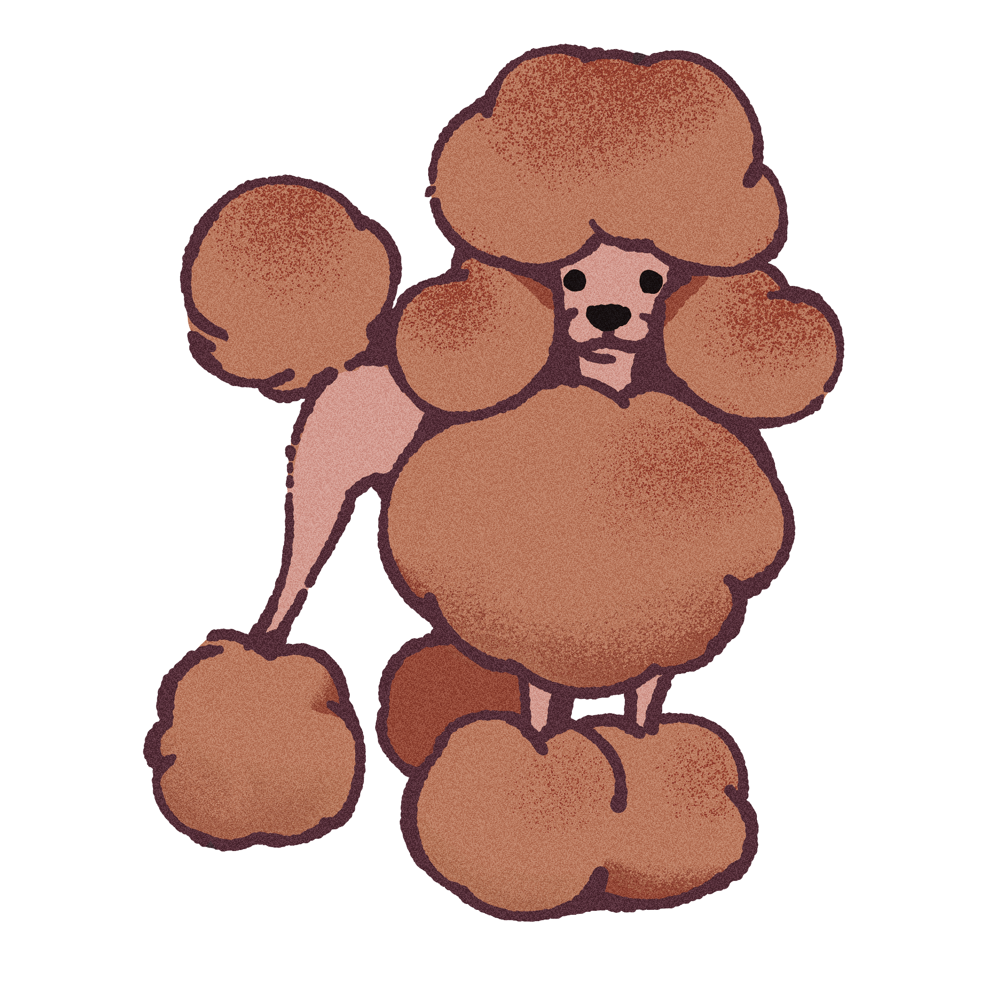 Poodle Sticker