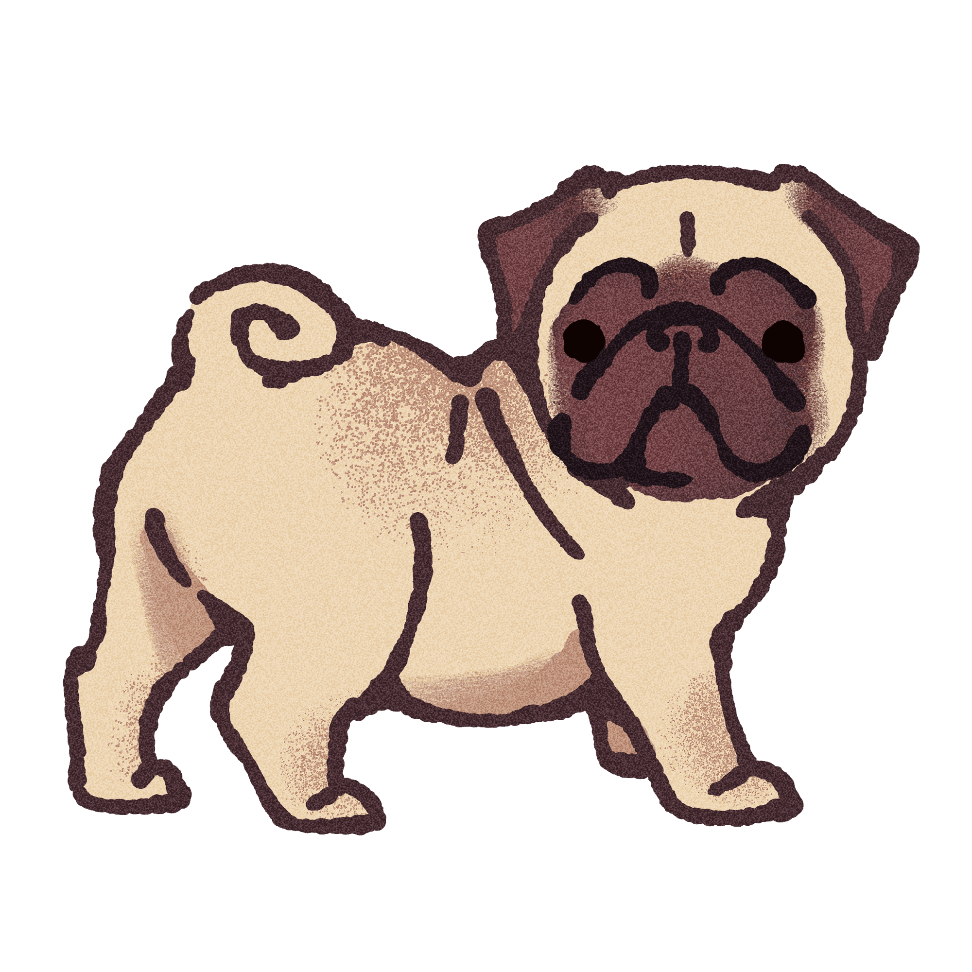 Pug Sticker