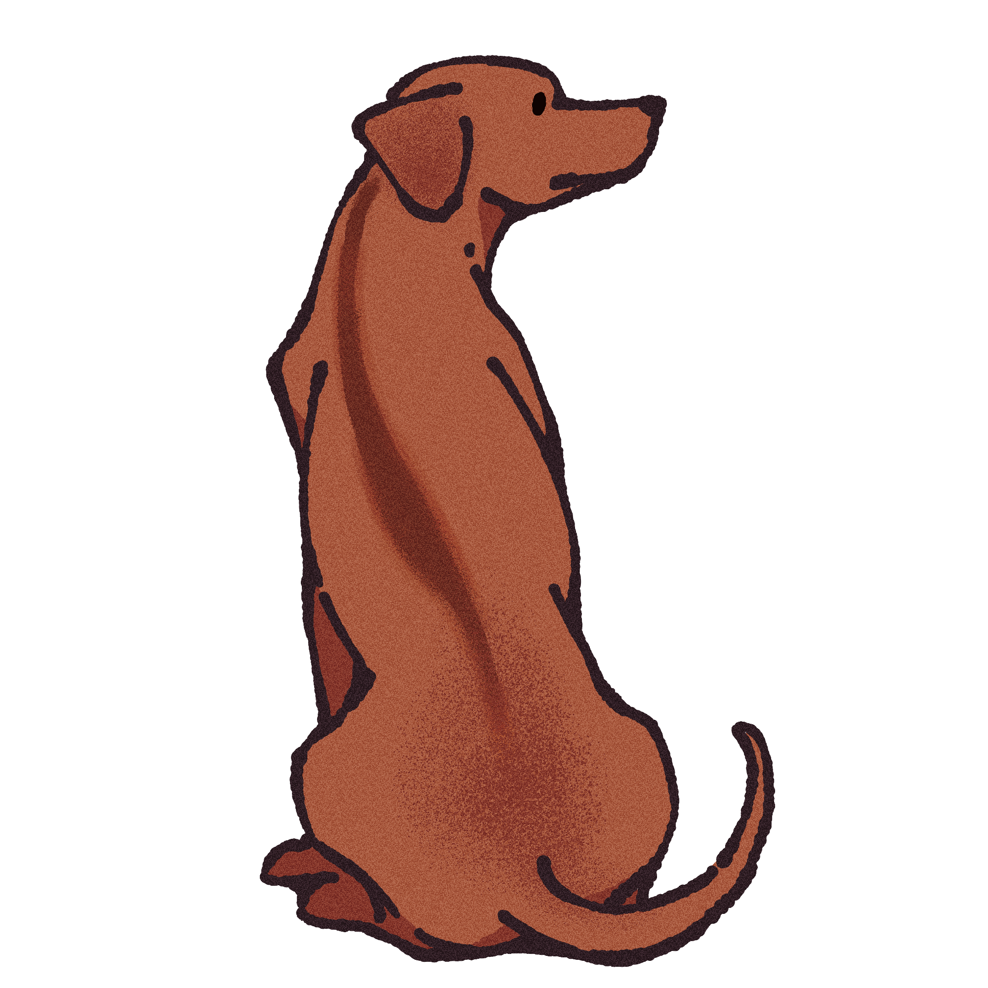 Rhodesian Ridgeback Sticker