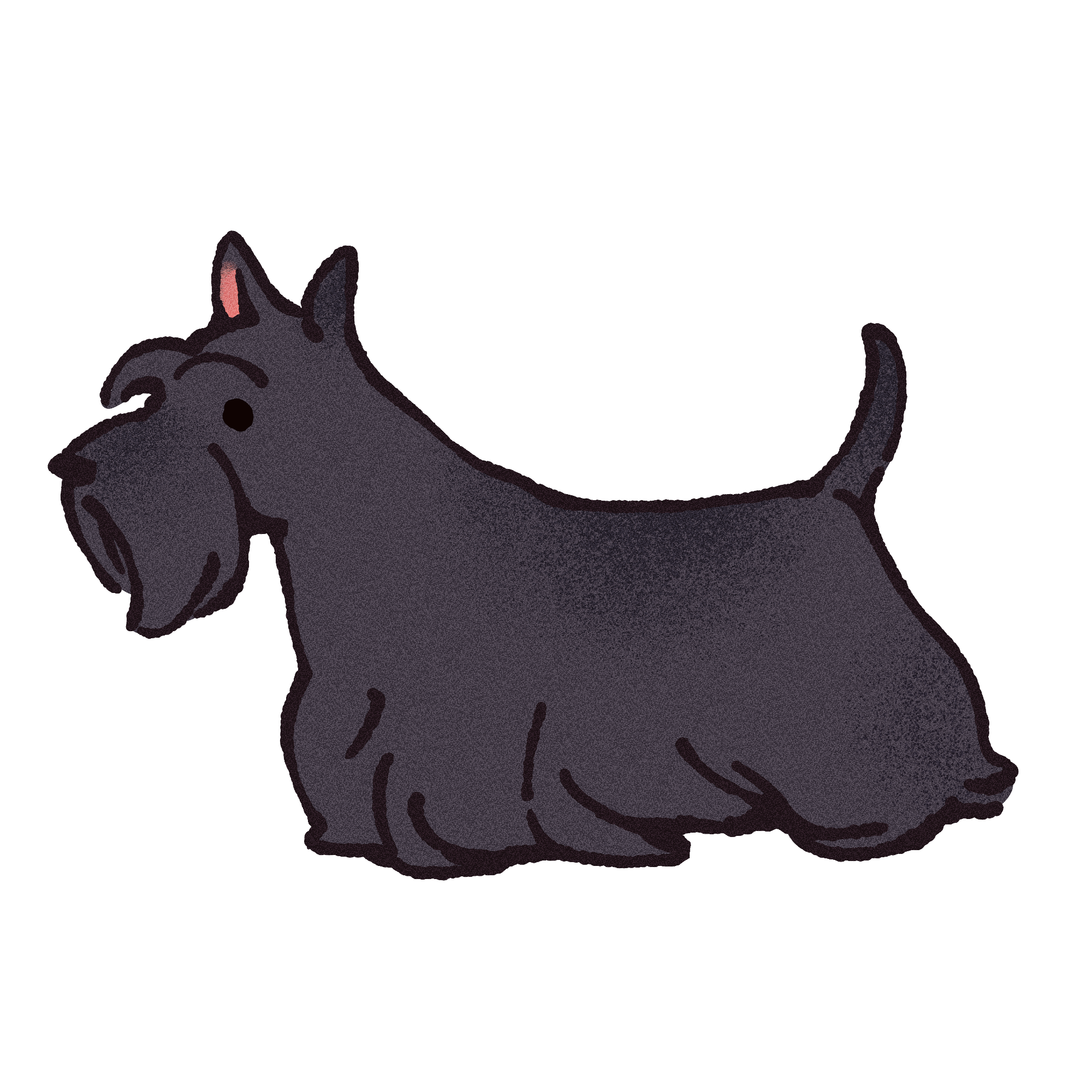 Scottish Terrier Sticker