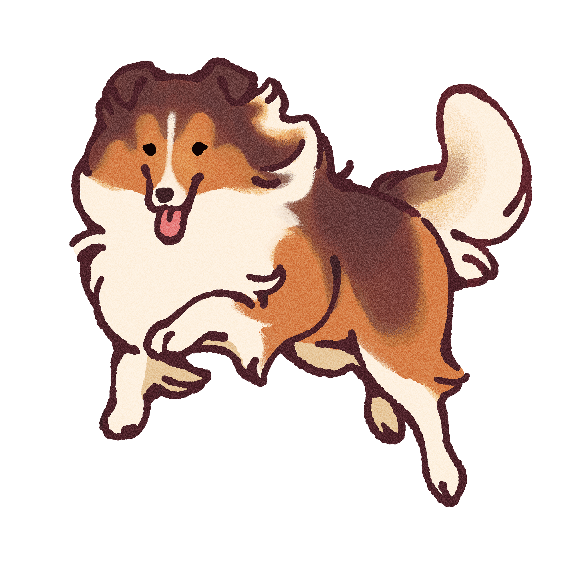 Sheltie Sticker