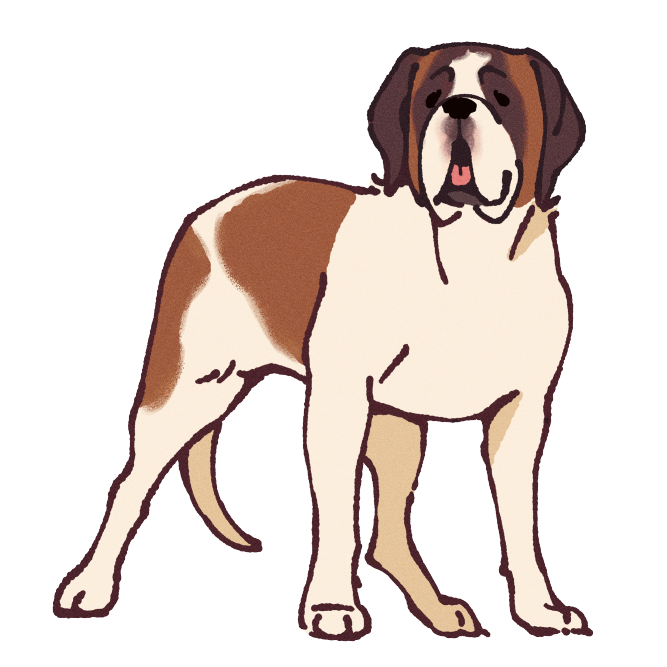 Saint Bernard Sticker