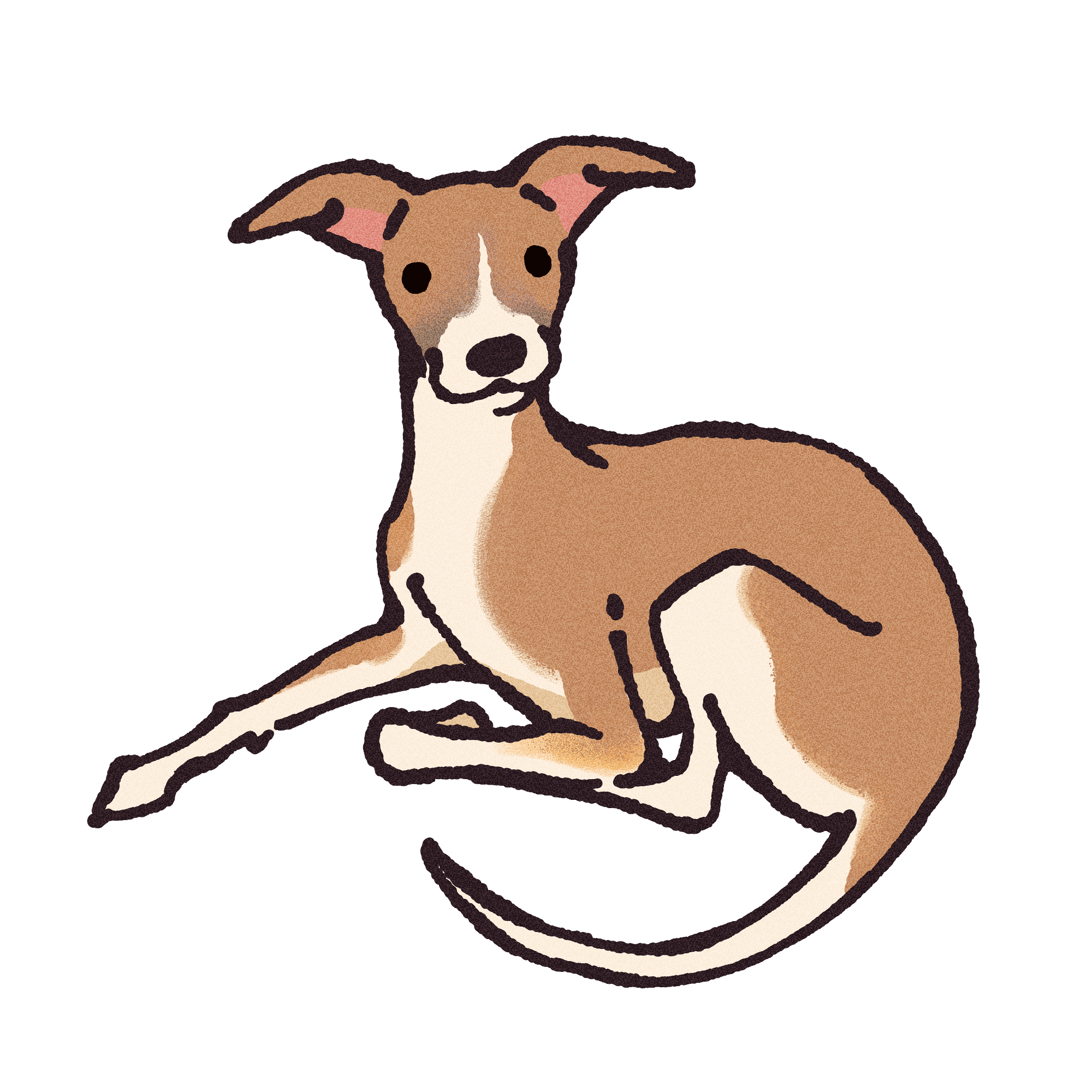 Whippet Sticker