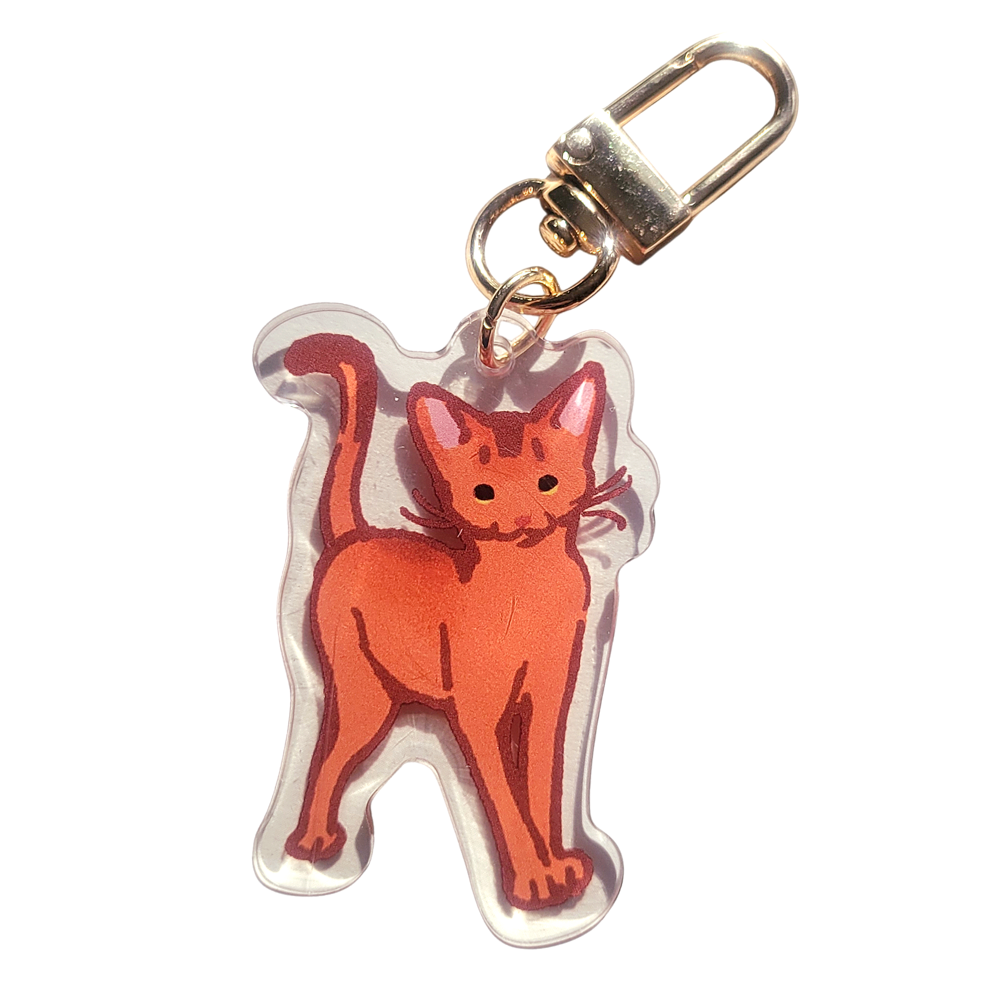 Abyssinian Cat Acrylic Charm