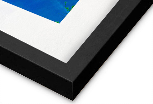 "O Gato Abaporu" Giclée Fine Art Print - Framing Available