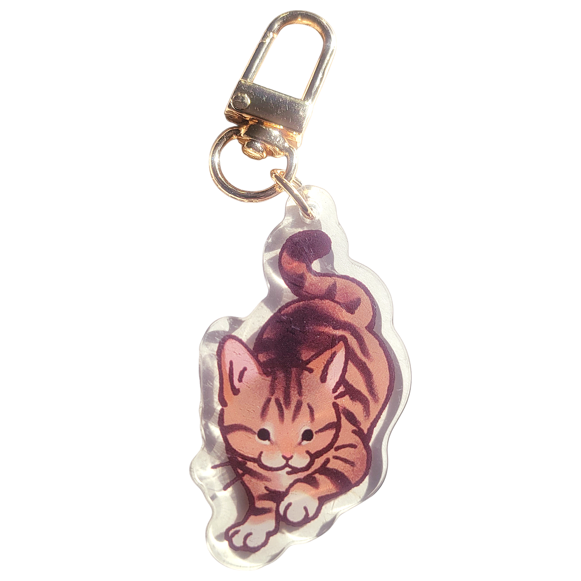 Brown Tabby Cat Acrylic Charm