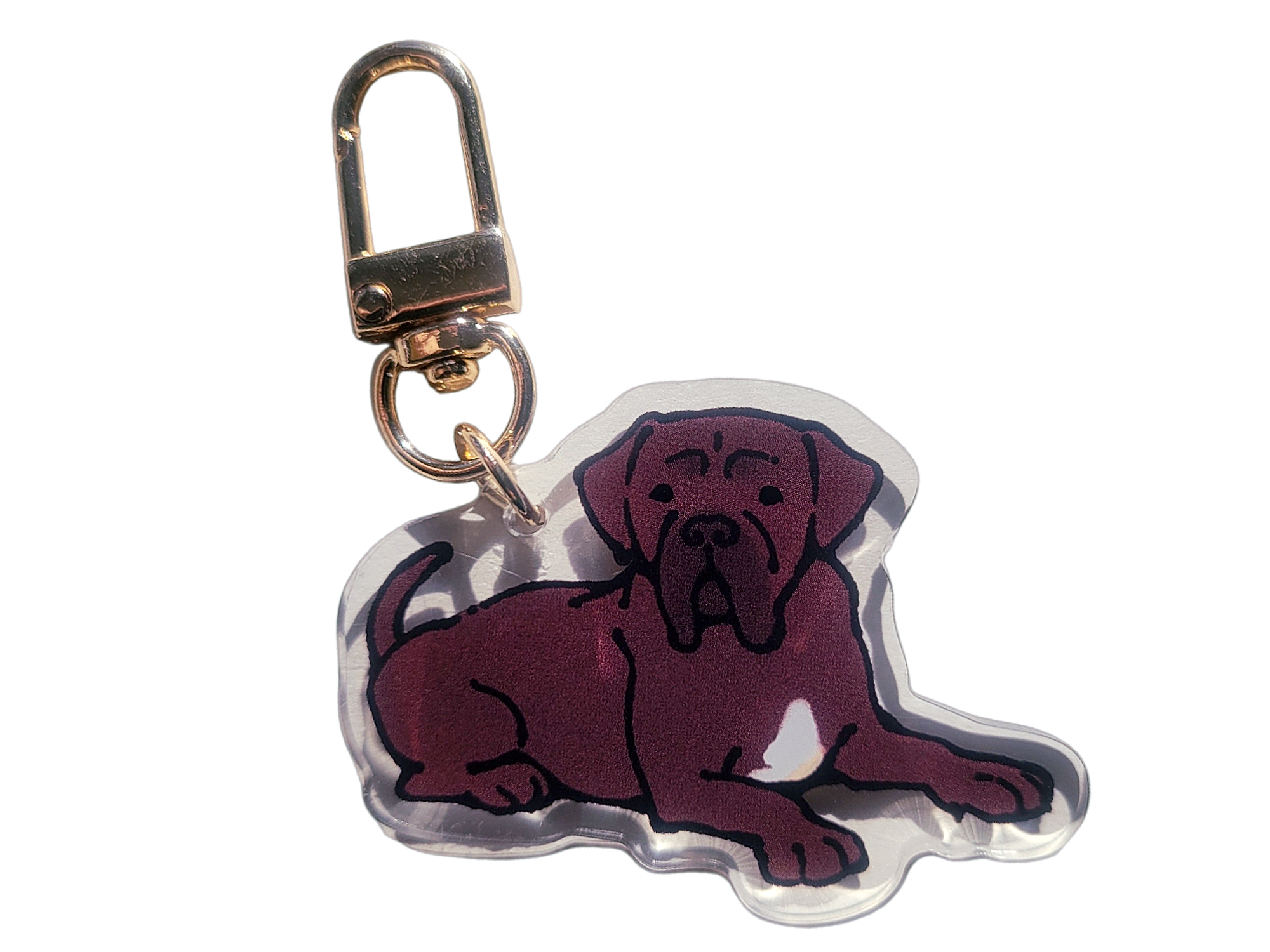 Cane Corso Acrylic Charm