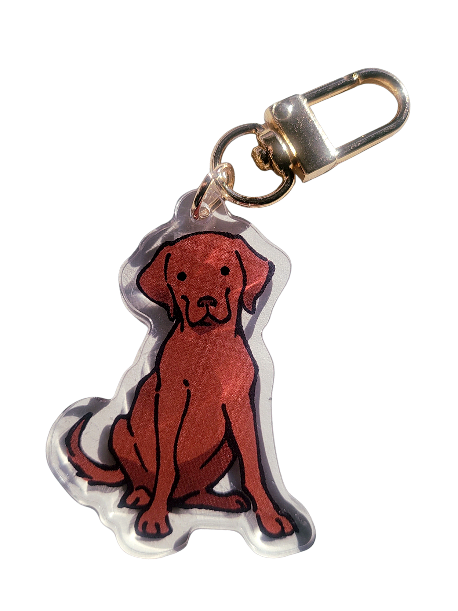 Chesapeake Bay Retriever Acrylic Charm