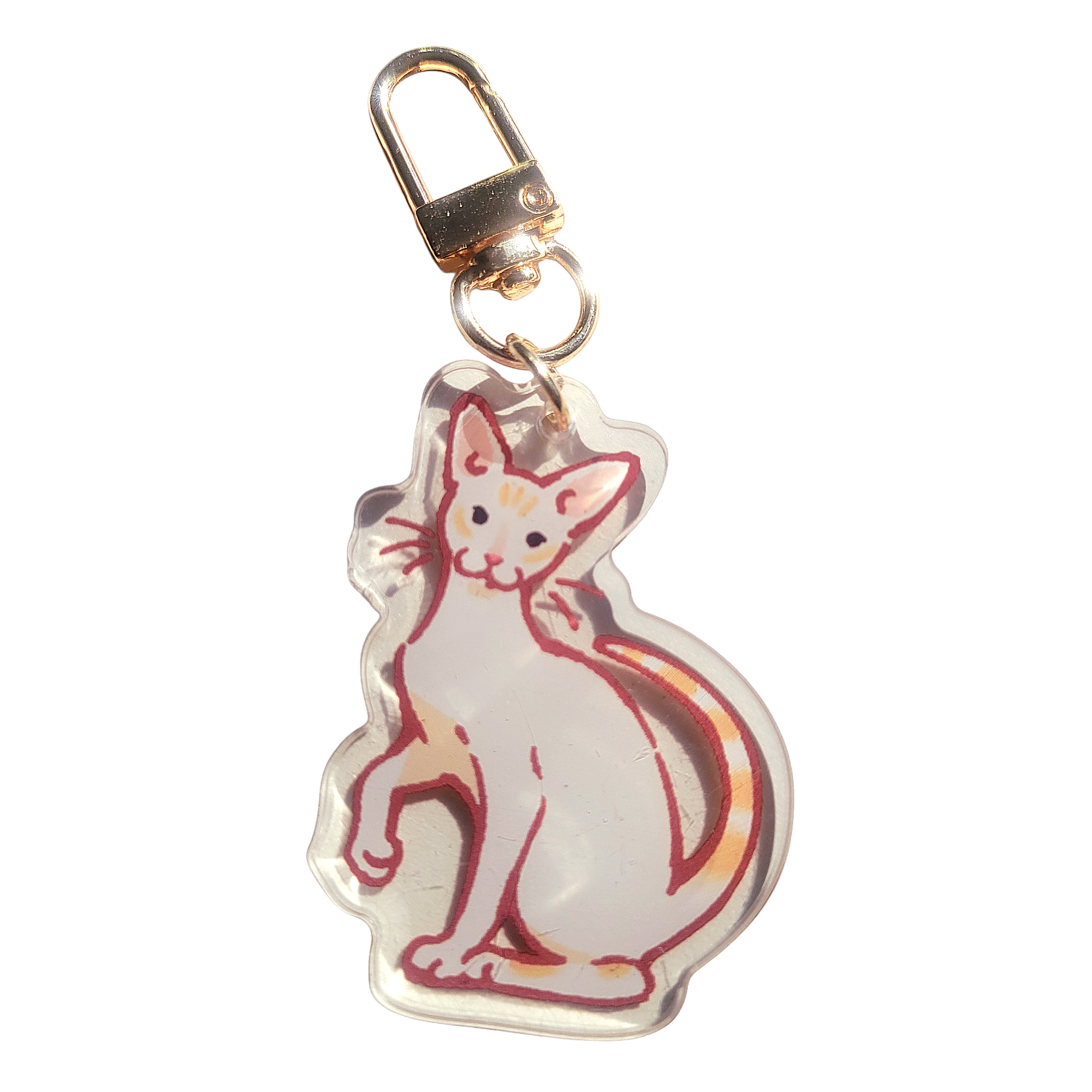 Colorpoint Shorthair Cat Acrylic Charm