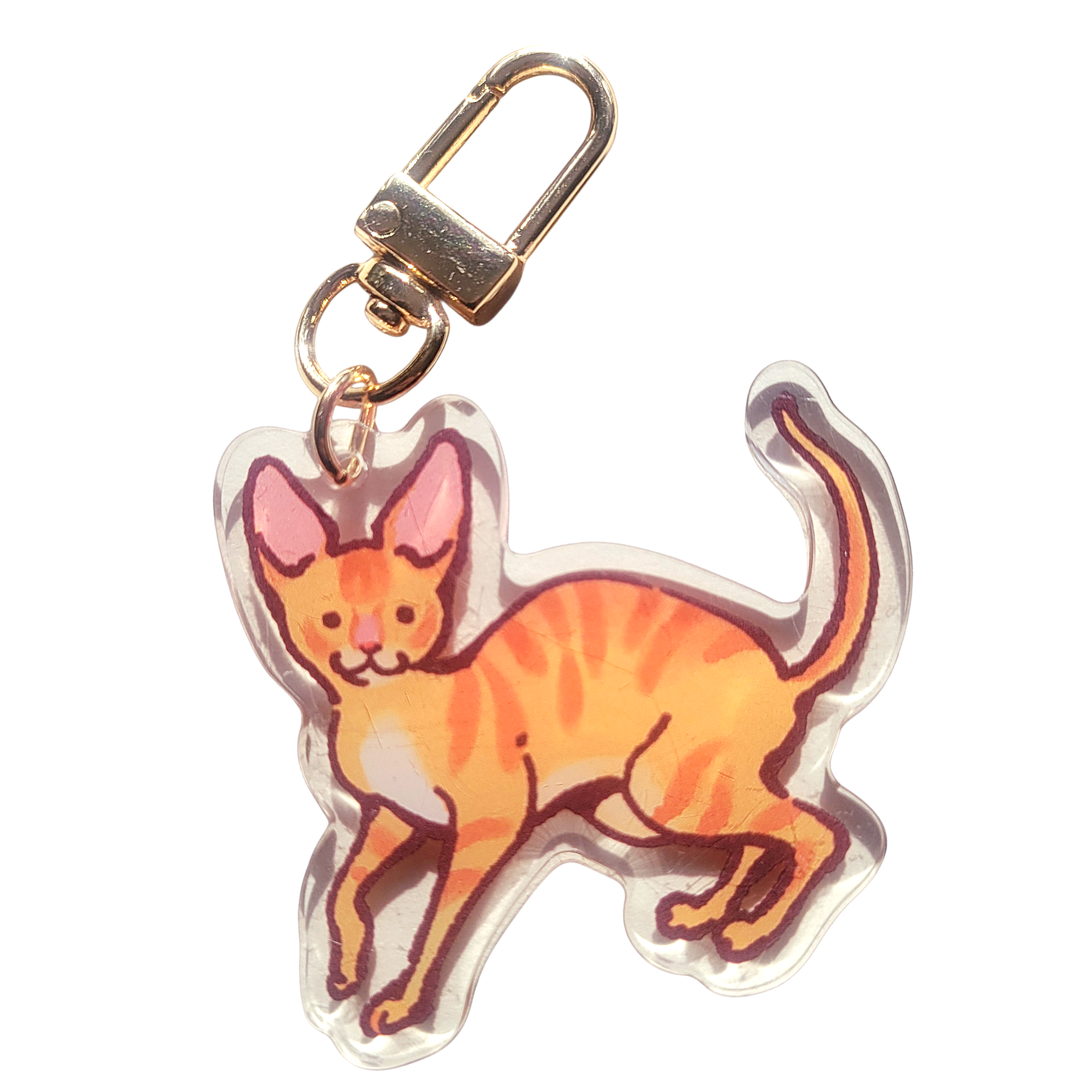 Cornish Rex Cat Acrylic Charm