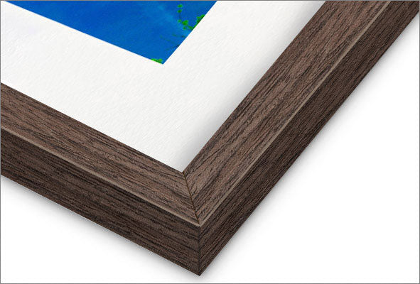 "O Gato Abaporu" Giclée Fine Art Print - Framing Available