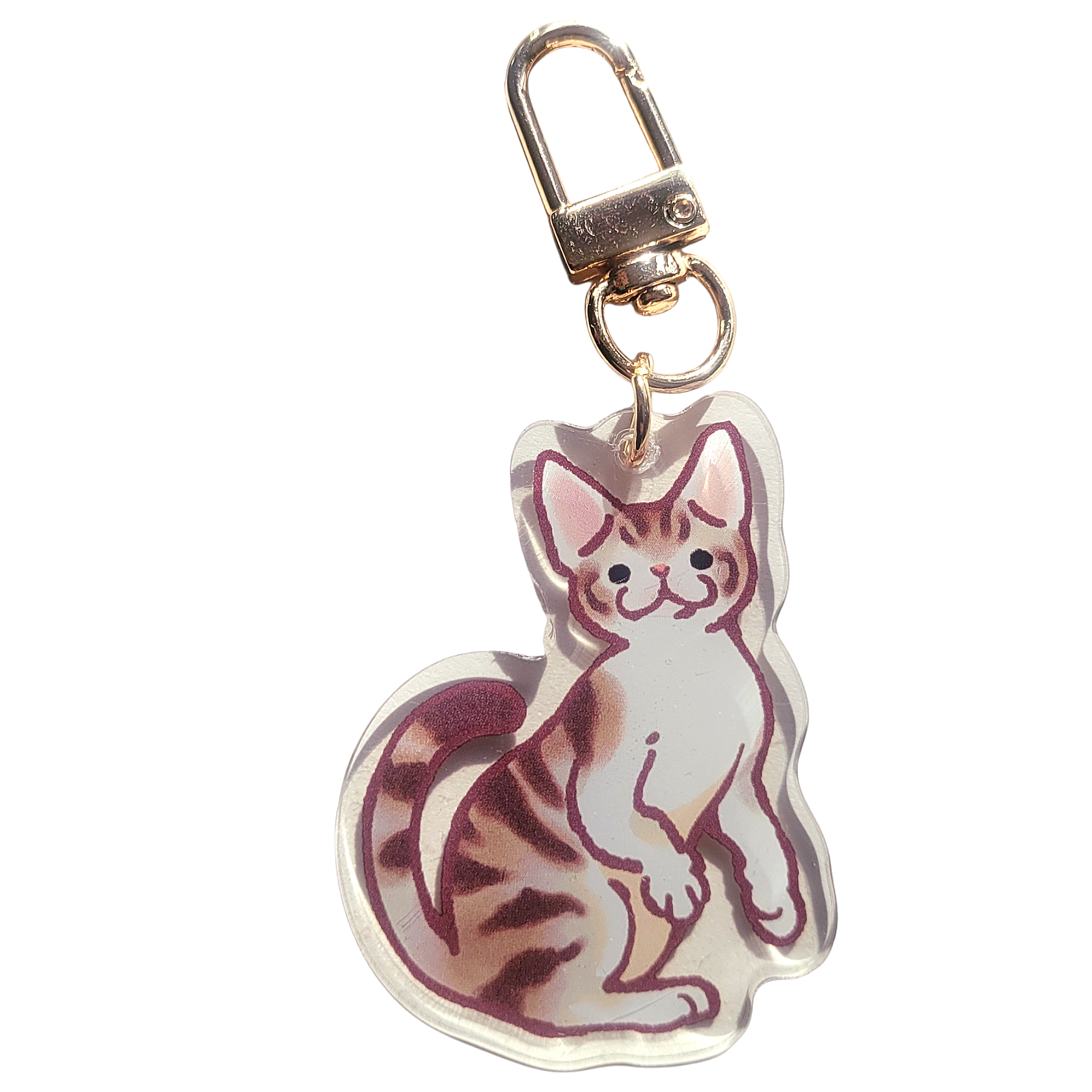 Devon Rex Acrylic Charm