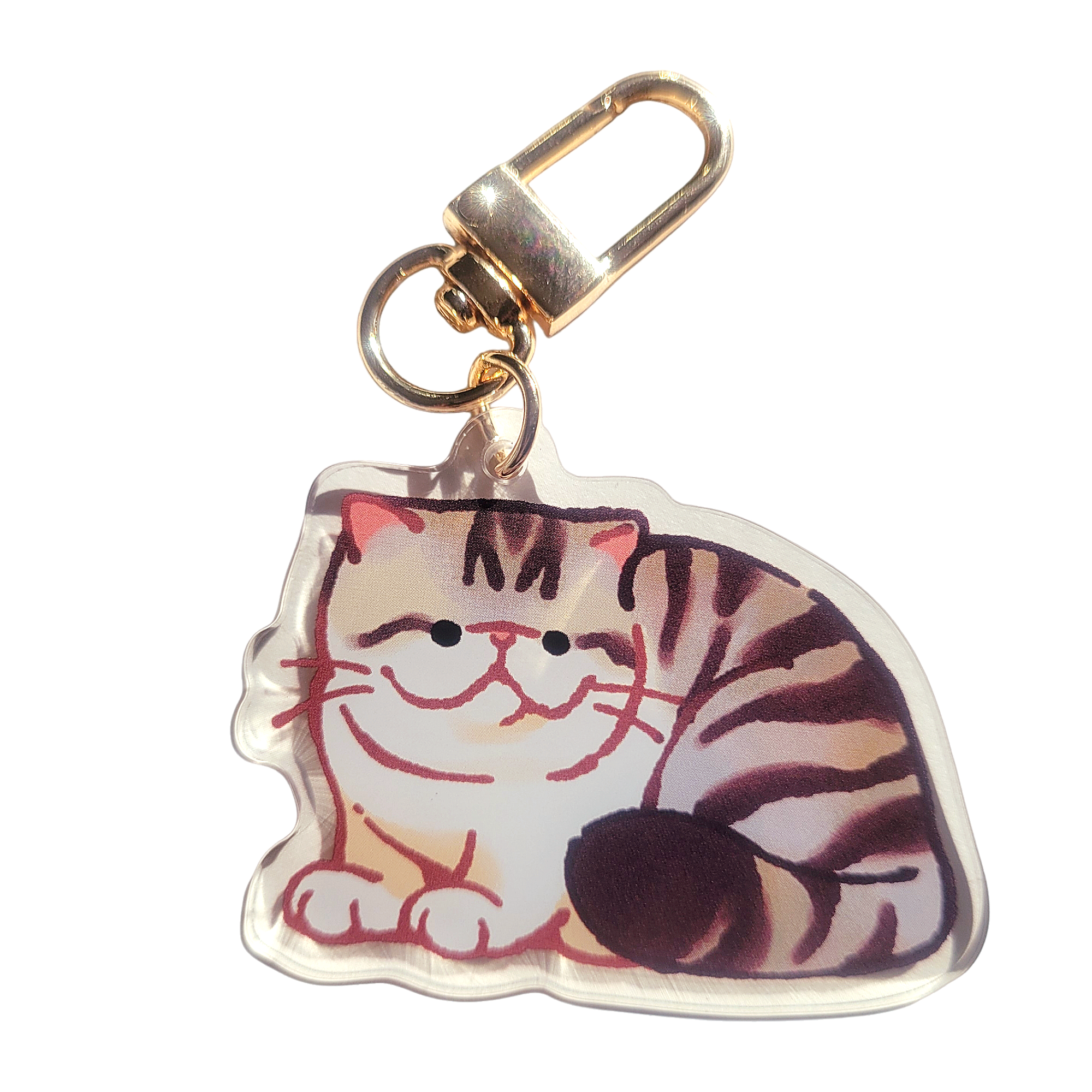 Exotic Shorthair Cat Acrylic Charm